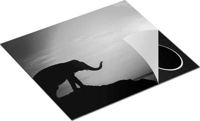 Chefcare Inductie Beschermer Olifant op een Rots aan de Zee bij Zonsondergang - Zwart Wit - 60x50 cm - Afdekplaat Inductie - Kookplaat Beschermer - Inductie Mat