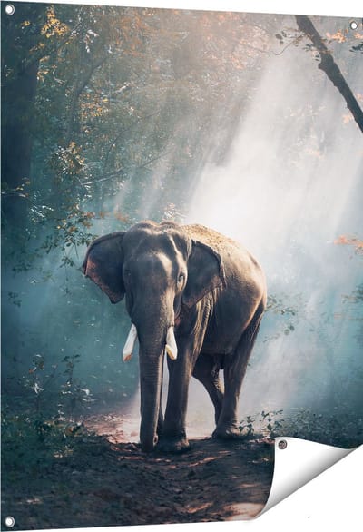 Gards Tuinposter Olifant in het Bos met Zonneschijn - 80x100 cm - Tuindoek - Tuindecoratie - Wanddecoratie buiten - Tuinschilderij