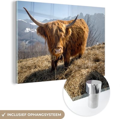 MuchoWow® Glasschilderij 150x100 cm - Schilderij acrylglas - Schotse Hooglander - Berg - Sneeuw - Foto op glas - Schilderijen