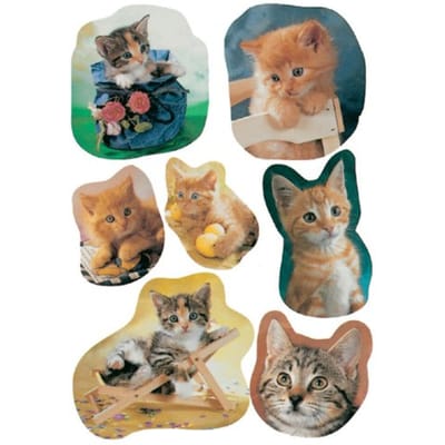 Huismerk Herma 5747 Etiket Kat Foto - Pakje met 3 velletjes stickers