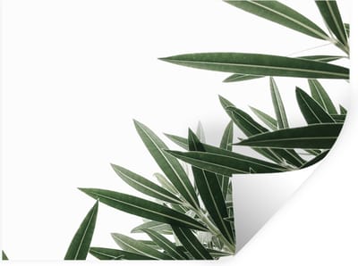 Muurstickers - Sticker Folie - Natuur - Planten - Bladeren - 40x30 cm - Plakfolie - Muurstickers Kinderkamer - Zelfklevend Behang - Zelfklevend behangpapier - Stickerfolie