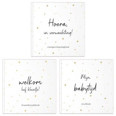 Fyllbooks Invulboeken voordeelset ‘Zwanger’ – Oker Dots