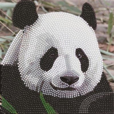 Crystal Card Kit | Diamond painting Funny Face Panda
