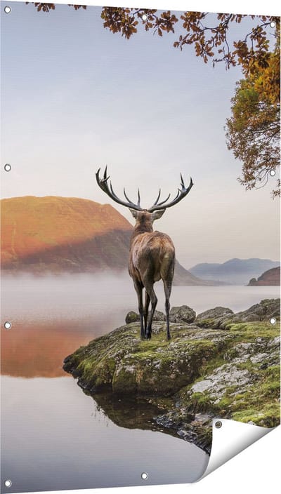 Gards Tuinposter Hert bij een Meer - 80x120 cm - Tuindoek - Tuindecoratie - Wanddecoratie buiten - Tuinschilderij
