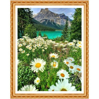 5D natuurlijk landschap diamant borduurwerk Daisy Diamond schilderij handwerk canvas op nummer 20X30CM black