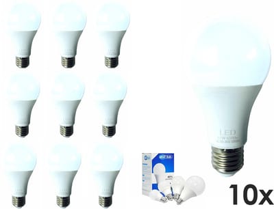 10X LED Lampen - 12W - Led lamp 6500K daglicht wit - E27 fitting