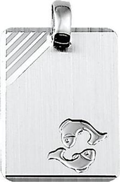 Graveerhanger sterrenbeeld Vissen gediamanteerd - PSN1323569
