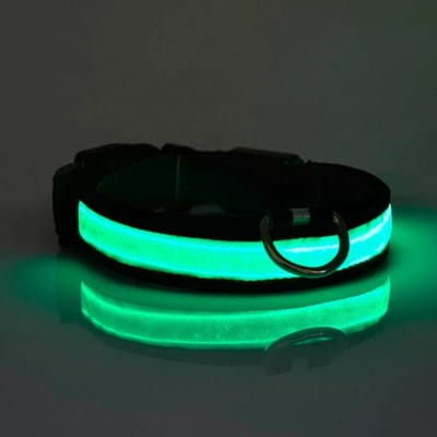 Led Halsband Met Kleurrijke Light Night - Verlichting Voor Wandelingen Verstelbare- - Nylon Kettingen Met Licht