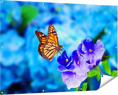 Gards Tuinposter Oranje Vlinder bij Paarse Bloemen - 150x100 cm - Tuindoek - Tuindecoratie - Wanddecoratie buiten - Tuinschilderij