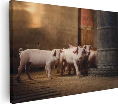 Artaza Canvas Schilderij Varken - 90x60 cm - Wanddecoratie Dieren - Muurdecoratie Boerderij - Schilderij Op Canvas