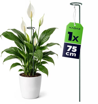 KADAX Plantensteun met oog 75 cm, stalen plantenstok, ring 6 cm, bloemensteun, groen, tuin, 1 st.