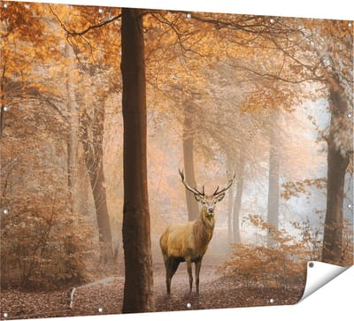 Gards Tuinposter Hert in het Bos - Herfst - 160x120 cm - Tuindoek - Tuindecoratie - Wanddecoratie buiten - Tuinschilderij