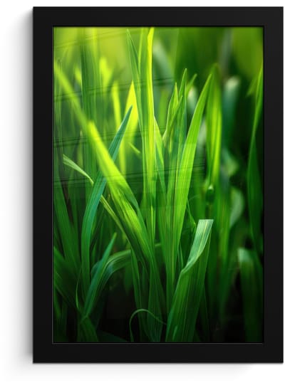 Poster in lijst - Fotolijst 20x30 cm - Posters - Grassprieten - Lichtinval - Groen - Posterlijst zwart - Decoratie - Wanddecoratie woonkamer - Muurdecoratie slaapkamer