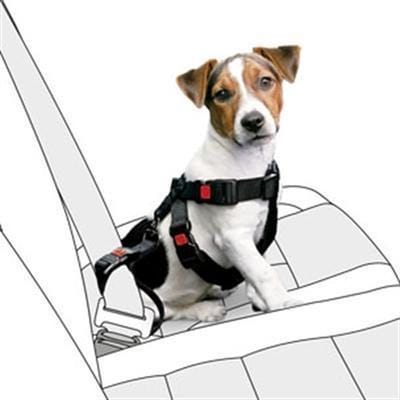 Karlie Veiligheidsharnas Auto Zwart