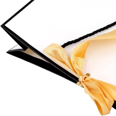 Dailygoods- Geschenkzakjes Luxe - 20 Stuks - Grote Cadeauzakjes - Robuuste Constructie - Papier - 32 x 25 x 11 cm - Cadeauzakken