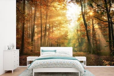 Behang - Fotobehang Bos - Herfst - Zon - Landschap - Natuur - Bomen - Bladeren - Breedte 420 cm x hoogte 280 cm