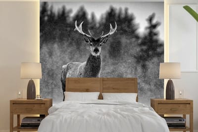 Behang - Fotobehang Dieren - Hert - Winter - Zwart - Wit - Breedte 220 cm x hoogte 220 cm