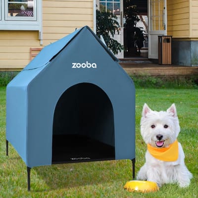 Verhoogd Hondenhok - Hondenbed Buiten - Binnen en Buiten - Waterbestendig & Ademend - 29 Inch Middelgroot - Blauw