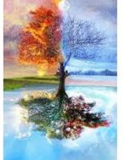 New Age Devi - Boom - 4 seizoenen - 30x40 - Full - Vierkante Steentjes - Diamond Painting
