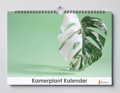 Kamerplant kalender 35x24 cm | Verjaardagskalender Kamerplantjes | Verjaardagskalender Volwassenen