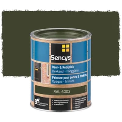 Sencys Lak Voor Deurenen Ramen Hoogglans Ral6003 750ml
