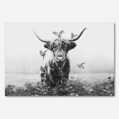 Poster op papier - 60 x 40 cm - Schotse hooglander met vogels in zwart-wit - PosterJunkie