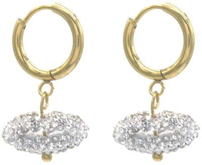 Dames Oorbellen – RVS – Crystals Kiss – Goudkleurig – 2.5cm – Fonkelend Accent