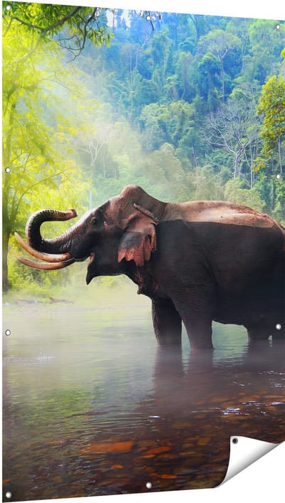 Gards Tuinposter Olifant in het Water - 100x150 cm - Tuindoek - Tuindecoratie - Wanddecoratie buiten - Tuinschilderij