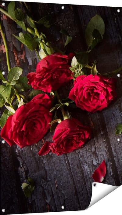Gards Tuinposter Rode Rozen op de Grond - 80x120 cm - Tuindoek - Tuindecoratie - Wanddecoratie buiten - Tuinschilderij
