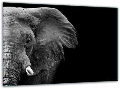 TMK ArtDeko - Snijplank - Gehard Glas - 30x22 cm - Sierlijke Olifant