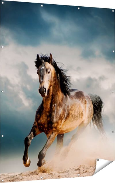 Gards Tuinposter Wilde Paard in het Zand - 120x160 cm - Tuindoek - Tuindecoratie - Wanddecoratie buiten - Tuinschilderij