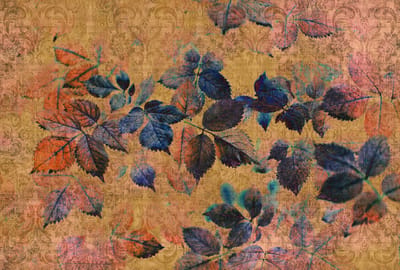 Fotobehang indian summer2 DD114097 Livingwalls Walls by Patel | Fotobehang