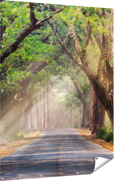 Gards Tuinposter Weg Omringd met Bomen - 120x160 cm - Tuindoek - Tuindecoratie - Wanddecoratie buiten - Tuinschilderij