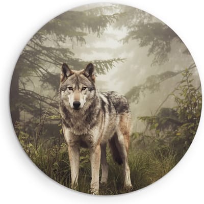 Saammp Muurcirkel Hout - Wolf tussen de bomen - Dieren - Natuur - Ø 90 - Wandcirkel - Wanddecoratie Cirkel - muurdecoratie Woonkamer - Slaapkamer decoratie - Rond Schilderij