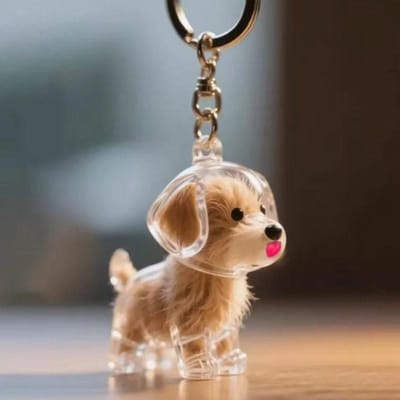 Pendentif Porte-Clés de Stockage de Poils de Chien Capsule Transparente Souvenir de Poils d'Animal Décoration DIY Cadeaux Commémoratifs pour Amoureux des Animaux Affichage à la Maison