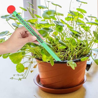 Bodemthermometer - Temperatuurtester - Plantenverzorging - Roestvrijstalen sonde - 42 cm lengte - Zilver