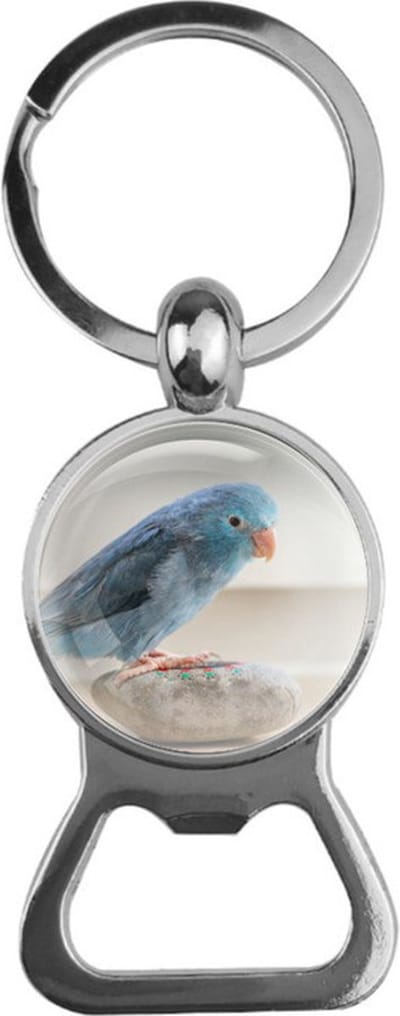 Bieropener Glas - Vogel