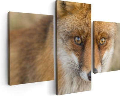 Artaza Canvas Schilderij Drieluik Vossenkop met Bruine Ogen - Vos - 90x60 - Foto Op Canvas - Canvas Print