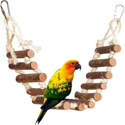 Houten Speeltoestel voor Vogels - Klimladder met Schommel voor Parkieten, Valkparkieten en Papegaaien