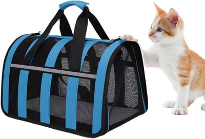 Huisdier Drager Tas - Reis Mand - Veilig Vervoer - Opvouwbaar Ontwerp - 33 x 25 x 22 cm - Blauw