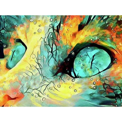 5D DIY diamant schilderij speciale kat borduurwerk mozaïek kruissteek strass decor 20X30CM black