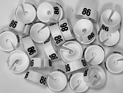 Bleijenberg Maatdopje maat 86 wit - Maataanduiding voor kledinghangers per 25 stuks - Maatringetje Ø 20 mm - Kledinghangers - Kleerhanger - Kapstok - Mark-Brics - wisersizer