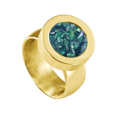 Quiges RVS Schroefsysteem Ring Goudkleurig Glans 16mm met Verwisselbare Donkerblauwe Vlokjes Schelp 12mm Mini Munt