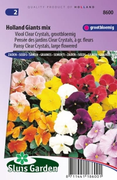 Viool Clear Crystals, Holland Giants mix