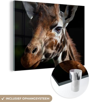 MuchoWow® Glasschilderij 160x120 cm - Schilderij acrylglas - Giraffe - Licht - Zwart - Foto op glas - Schilderijen