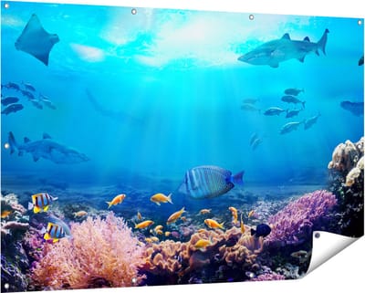 Gards Tuinposter Vissen met Haaien in de Oceaan met Koraalrif - 150x100 cm - Tuindoek - Tuindecoratie - Wanddecoratie buiten - Tuinschilderij