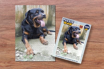 Puzzel Een Rottweiler ligt uitgeput bij een hek - Legpuzzel - Puzzel 500 stukjes