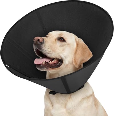Halsband voor honden in zwart - Maat M - Duurzaam, Verstelbaar en Comfortabel voor Honden