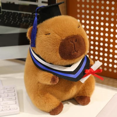 20-25cm Kawaii Afstuderen Dr. Kapibara Pluche Speelgoed Schattige Kerstmuts Kapibala Zachte Pop Afstudeercadeau voor Vrienden 20cm