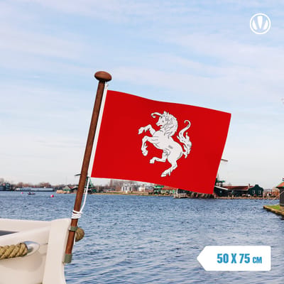 Officiele Twentse ros vlag 50x75cm - Spunpoly